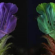 Image for article titled New Software Lets You See the World Through Animal Eyes